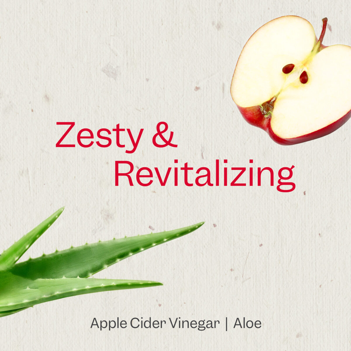 Apple Cider Vinegar & AloeClarify and Shine Shampoo Renpure